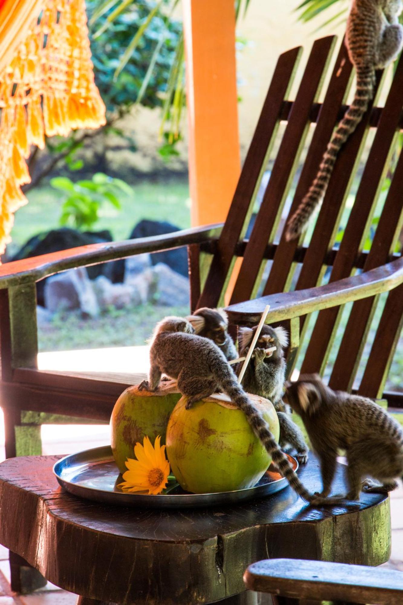 Pousada Cacimbinhas Praia de Pipa Экстерьер фото